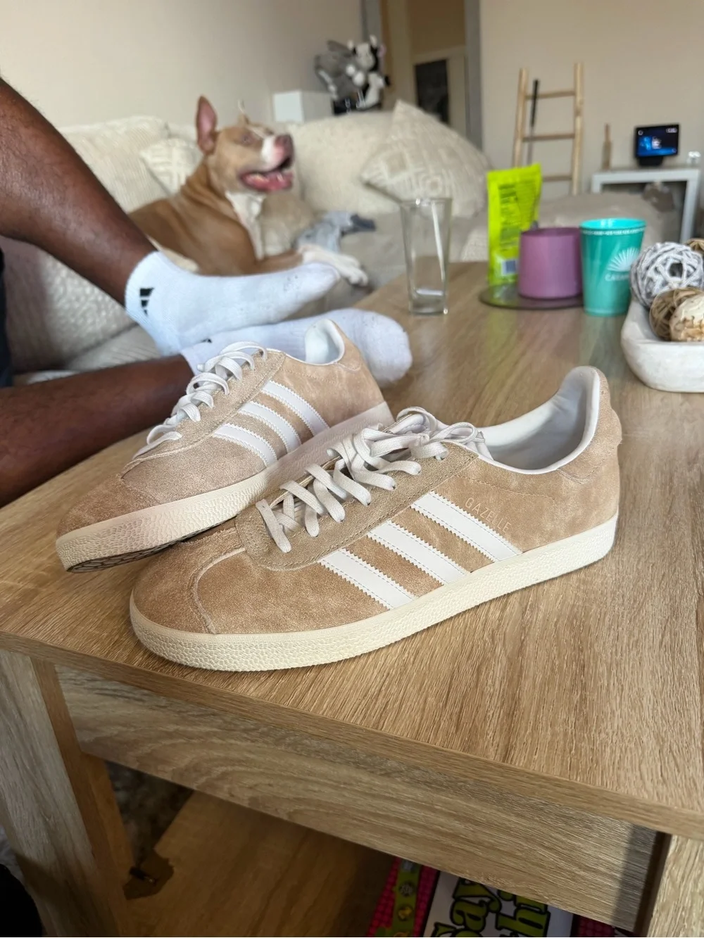 adidas Gazelle Suede Sneakers in Beige and White